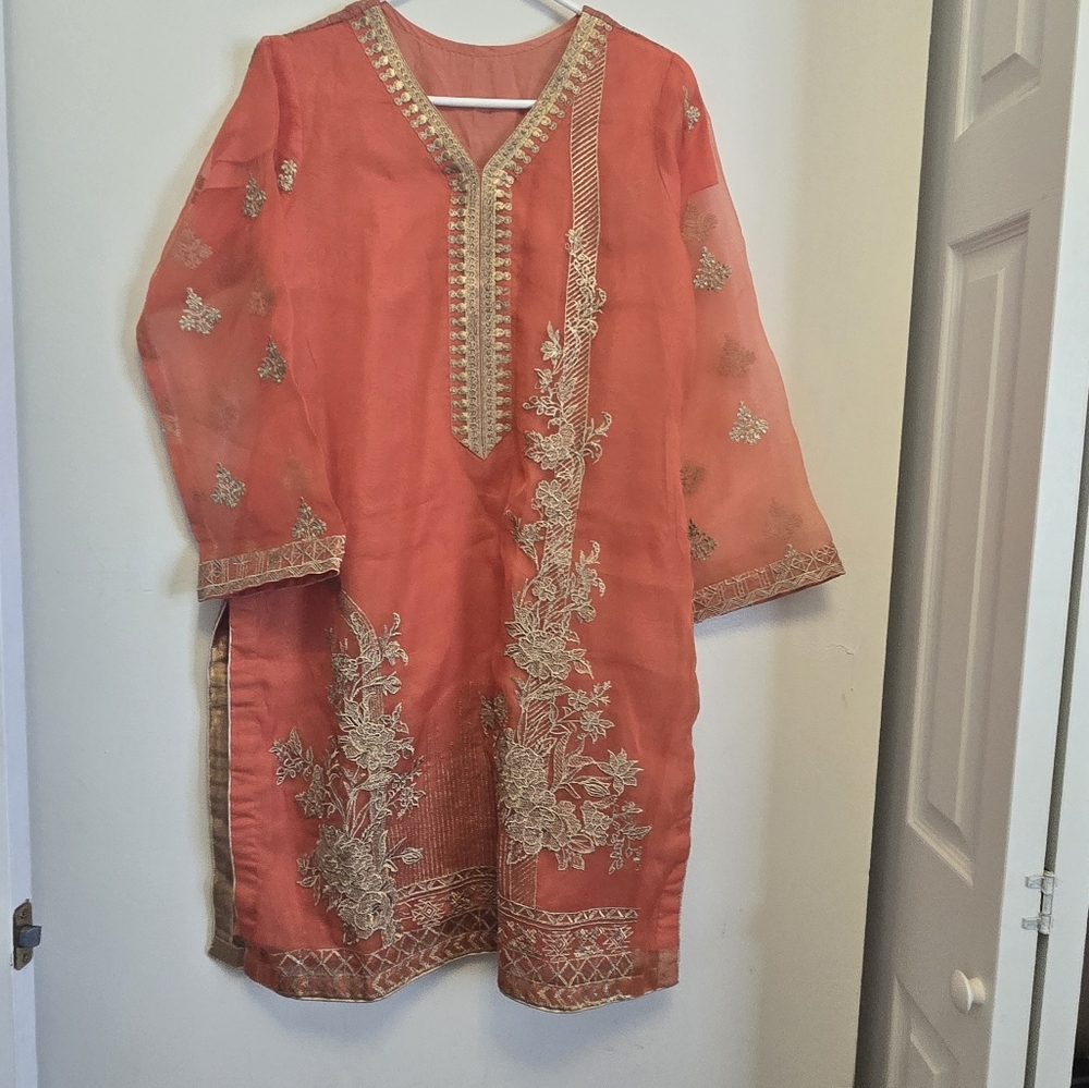 Orange embroidered organza Salwar Kameez Large